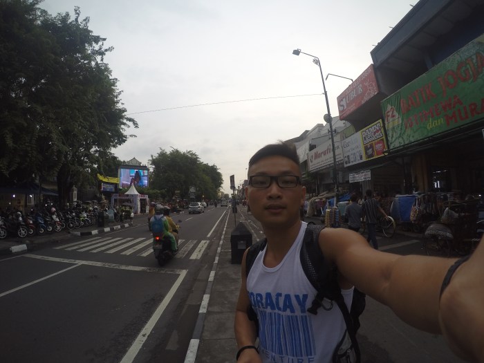 DCIM100GOPROGOPR8688.