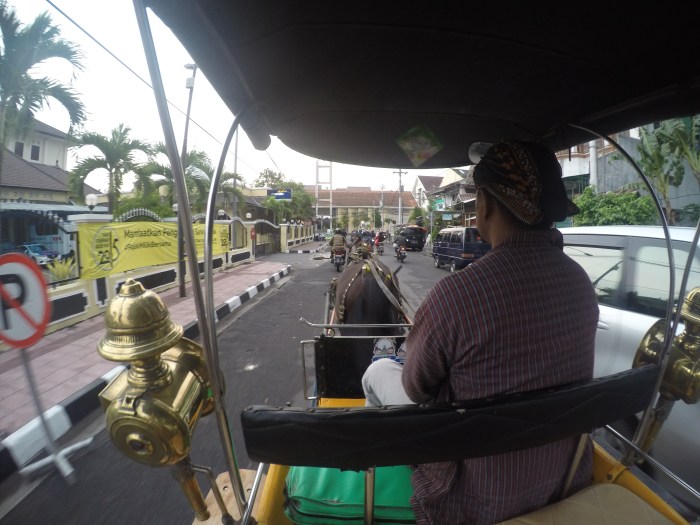 DCIM100GOPROGOPR8725.